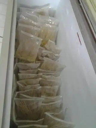 Frozen Satay Supplier Food Photo 2