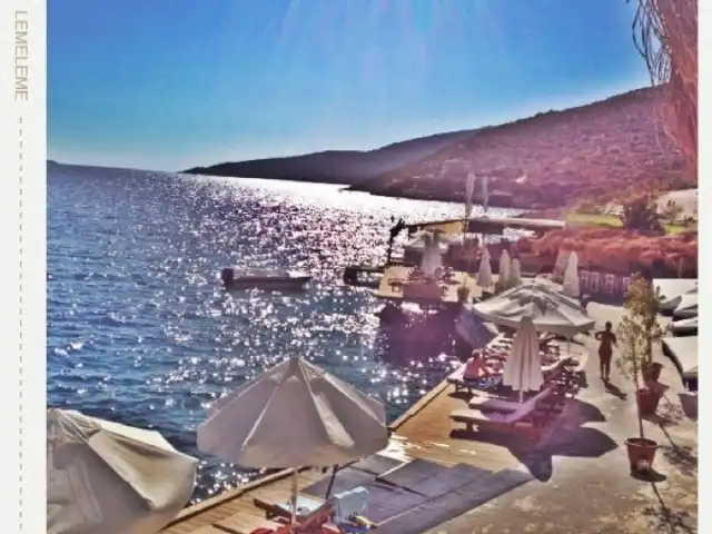 Indigo Beach'nin yemek ve ambiyans fotoğrafları 9