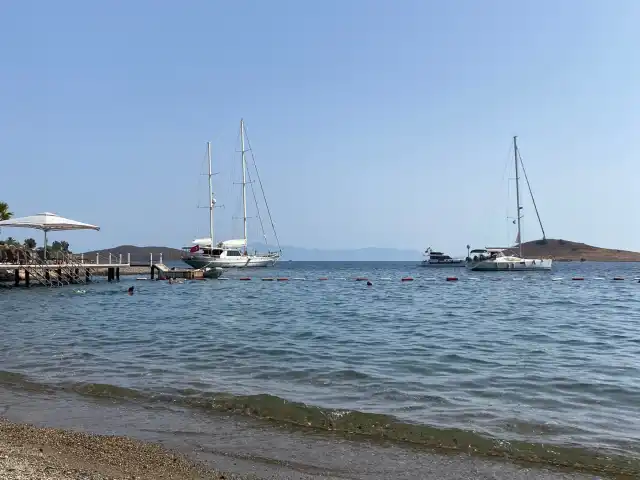 SAL Bodrum'nin yemek ve ambiyans fotoğrafları 2