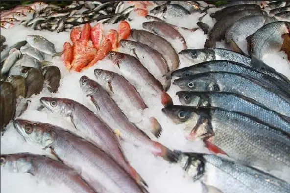 Sandal Balık'nin yemek ve ambiyans fotoğrafları 6