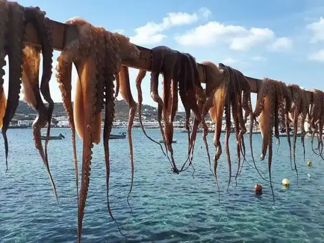 Mer Balık Restaurant'nin yemek ve ambiyans fotoğrafları 36