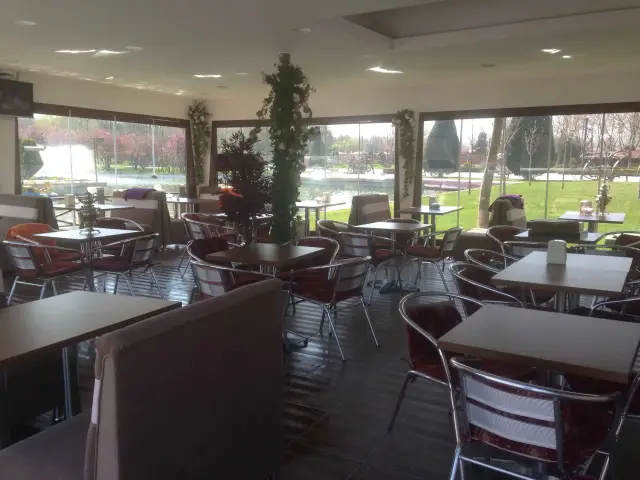 Meydan Cafe'nin yemek ve ambiyans fotoğrafları 3