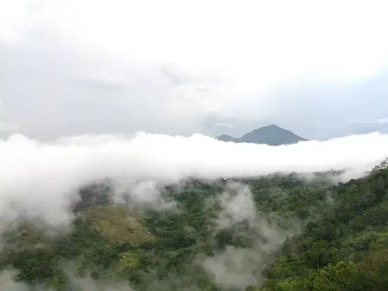 Gambar Makanan Gunung Sari 10