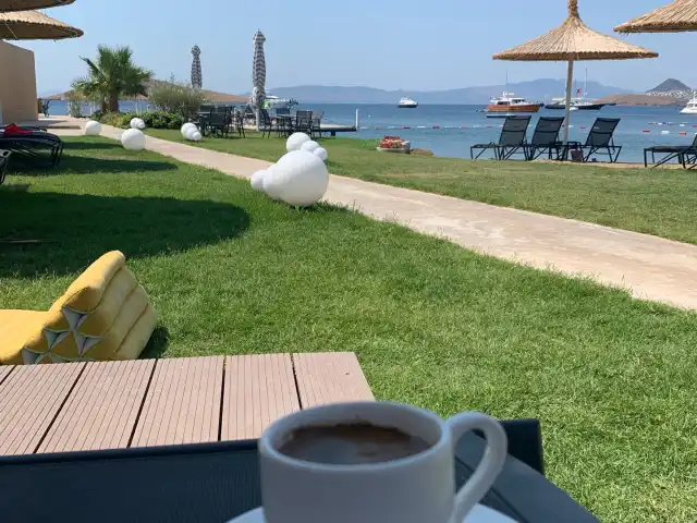 SAL Bodrum'nin yemek ve ambiyans fotoğrafları 4