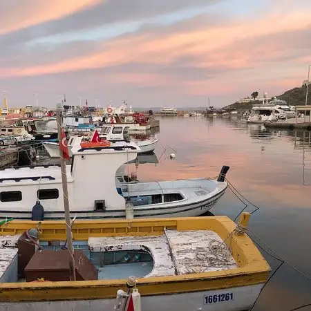 Şehir Restaurant'nin yemek ve ambiyans fotoğrafları 20