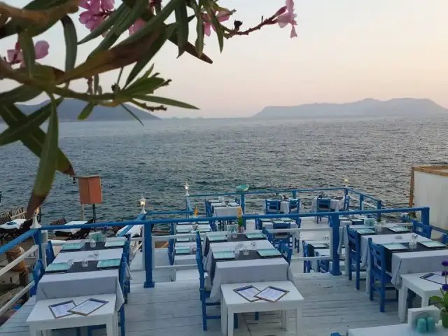 Sardelaki Greek Tavern'nin yemek ve ambiyans fotoğrafları 3
