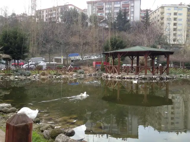 Mevlana Park Cafe & Restaurant'nin yemek ve ambiyans fotoğrafları 14