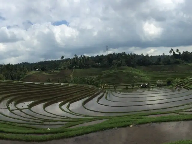 Gambar Makanan Warung Tepi Sawah 1