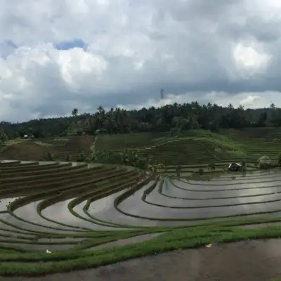 Warung Tepi Sawah