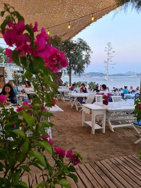 Kefi Restaurant & Beach'nin yemek ve ambiyans fotoğrafları 28