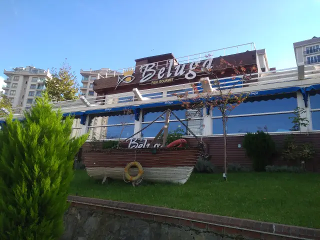 Beluga Fish Gourmet'nin yemek ve ambiyans fotoğrafları 56