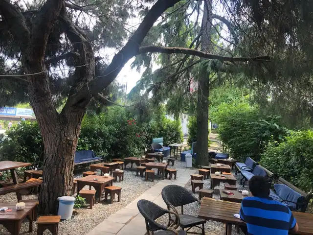 Biyer Cafe'nin yemek ve ambiyans fotoğrafları 4