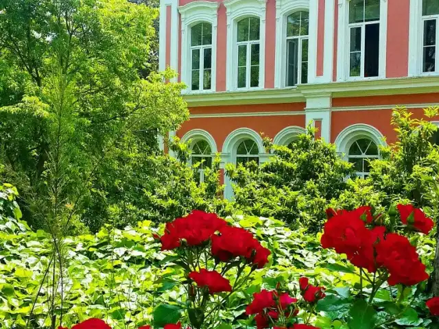 Yıldız Teknik Üniversitesi Orta Bahçe'nin yemek ve ambiyans fotoğrafları 5