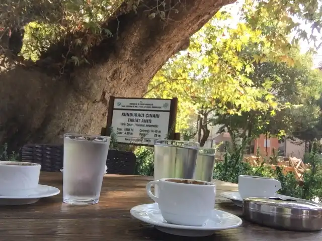 Bu Çınar Cafe'nin yemek ve ambiyans fotoğrafları 1