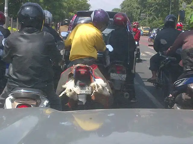 Gambar Makanan Rumah Makan Ibu Haji Cijantung "Ciganea" 9