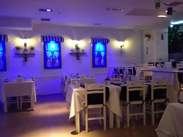 My Scala Greek Restaurant&Taverna'nin yemek ve ambiyans fotoğrafları 32