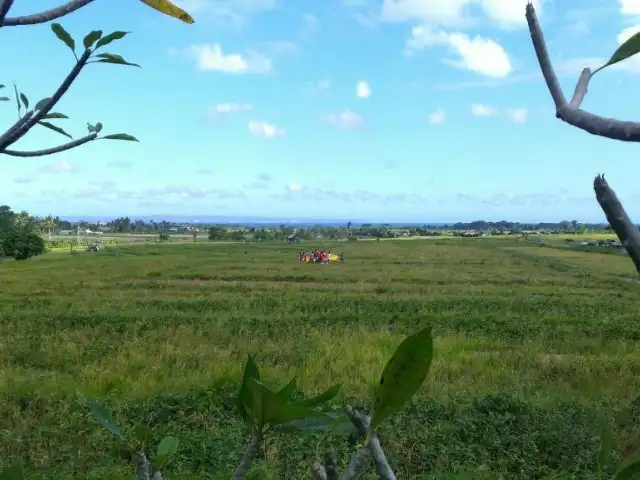 Gambar Makanan Sawah Bali 13