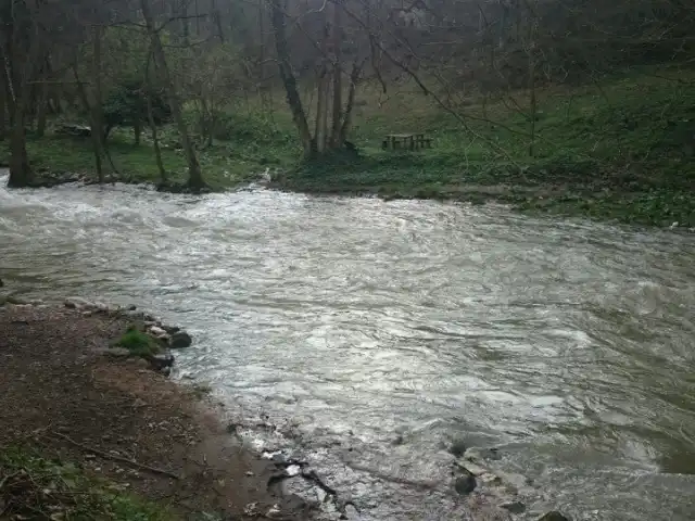 Kenan'ın Yeri'nin yemek ve ambiyans fotoğrafları 4