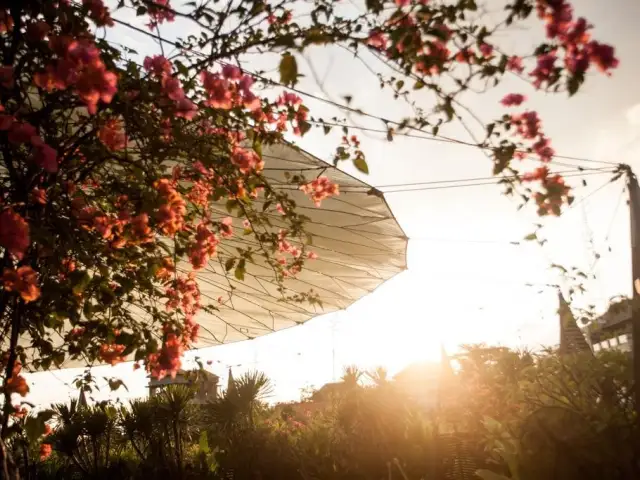 Gambar Makanan Parachute Bali 7