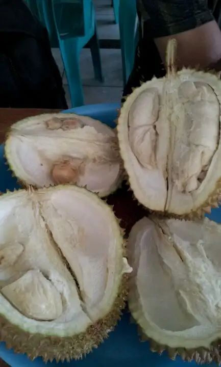 Gambar Makanan Rumah Durian Harum 5