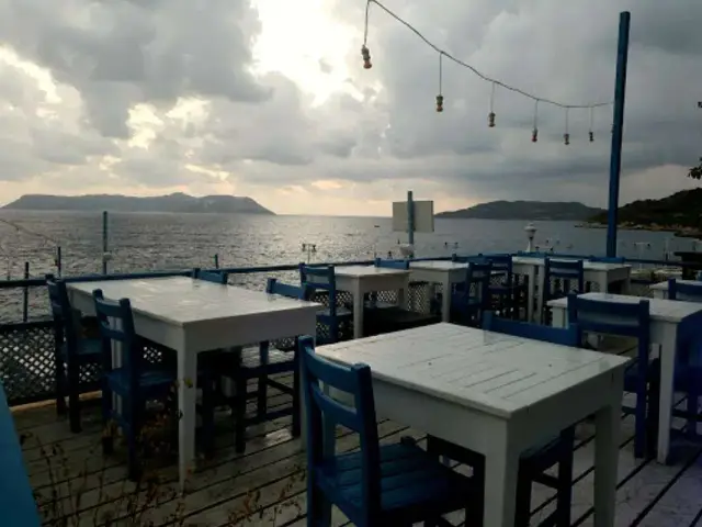 Sardelaki Greek Tavern'nin yemek ve ambiyans fotoğrafları 9
