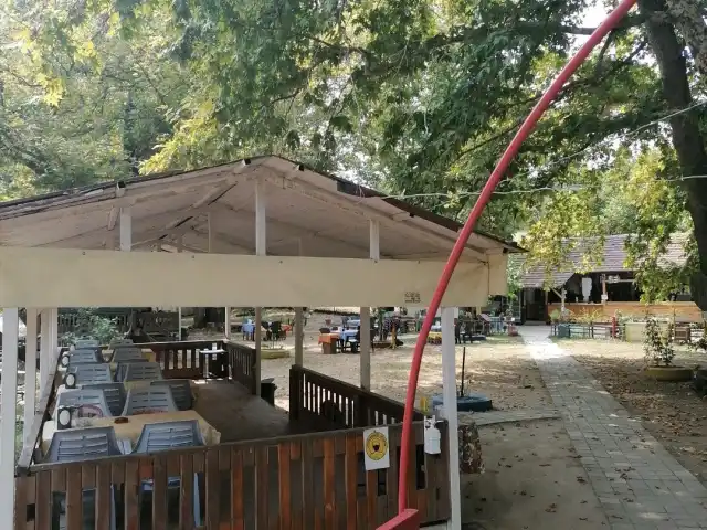 Değirmen Çayır Restaurant'nin yemek ve ambiyans fotoğrafları 2