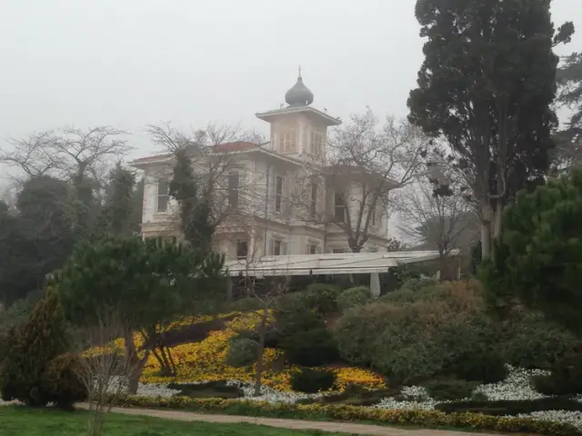 Cafe Zanzibar'nin yemek ve ambiyans fotoğrafları 39