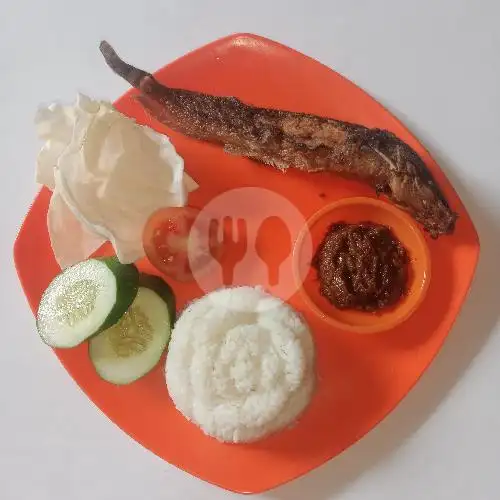 Gambar Makanan BEBEK/AYAM BAKAR ALMIRA, Langenharjo 7