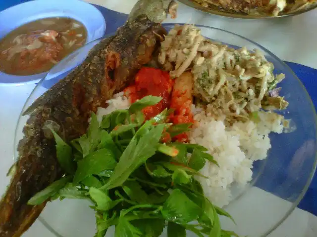 Pokok Sawa Ikan Keli Food Photo 9