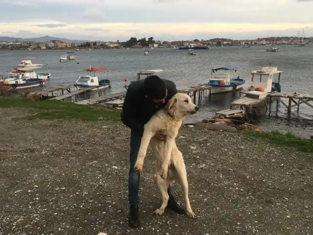 Dağ Restorant'nin yemek ve ambiyans fotoğrafları 4