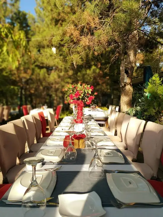 Ankara Yelken Restaurant'nin yemek ve ambiyans fotoğrafları 14
