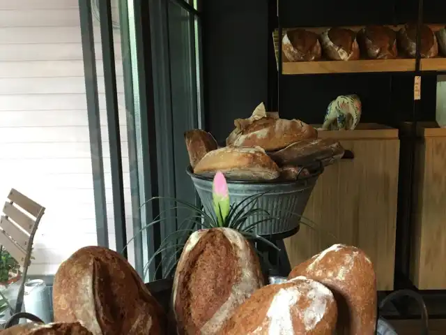 Pelinin Ekmeği'nin yemek ve ambiyans fotoğrafları 10