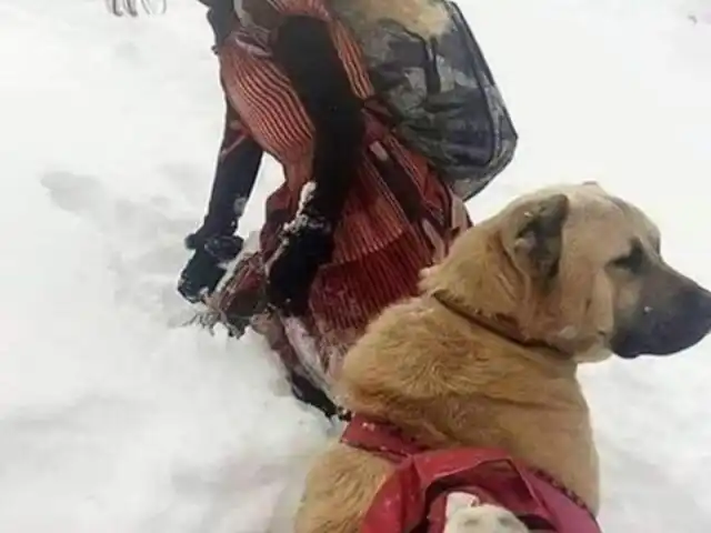 Tenis Ve Atıcılık Klübü Ocakbaşı'nin yemek ve ambiyans fotoğrafları 9