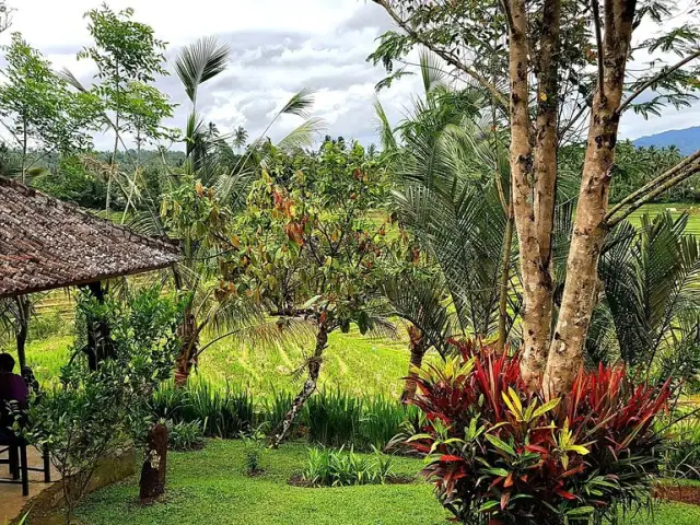 Gambar Makanan Warung Tepi Sawah 13