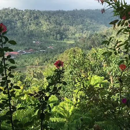 Gambar Makanan Bali panorama 7