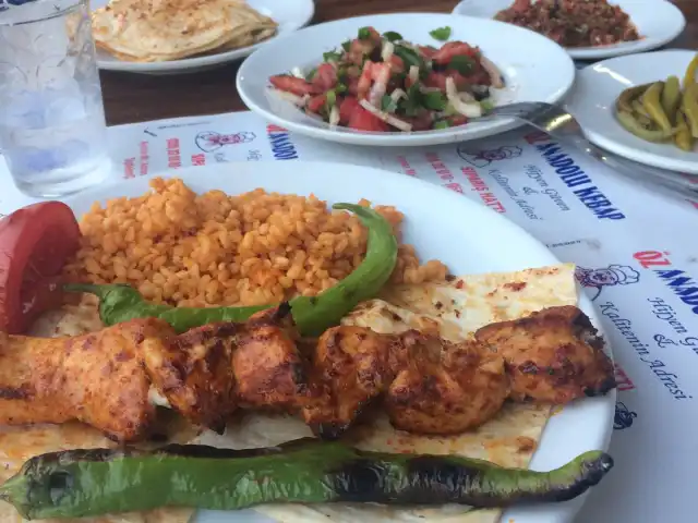 Anadolu Kebap'nin yemek ve ambiyans fotoğrafları 1