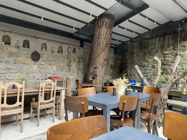 Zeytin Ağacı Cafe & Restaurant'nin yemek ve ambiyans fotoğrafları 39
