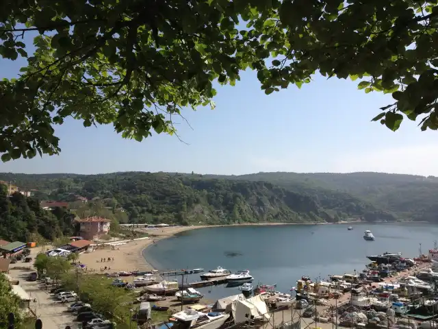 Poyrazkoy Cay Bahcesi'nin yemek ve ambiyans fotoğrafları 2