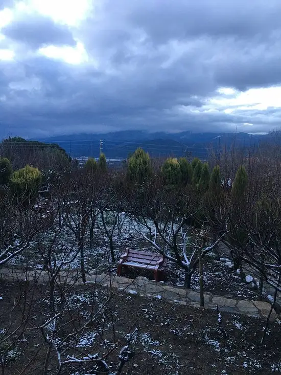 Dağmaran Kahvaltı Evi'nin yemek ve ambiyans fotoğrafları 8