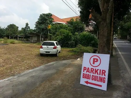 Gambar Makanan Warung Babi Guling Ibu Desak Raka 20