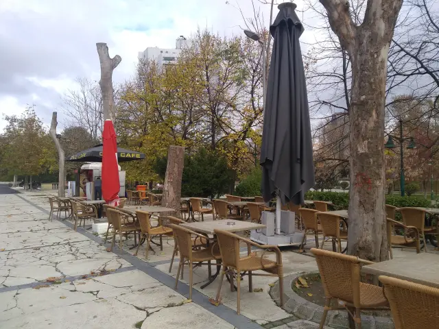 Gezi Cafe'nin yemek ve ambiyans fotoğrafları 1