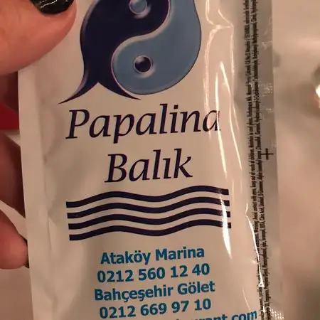 Papalina Balik Restaurant'nin yemek ve ambiyans fotoğrafları 42