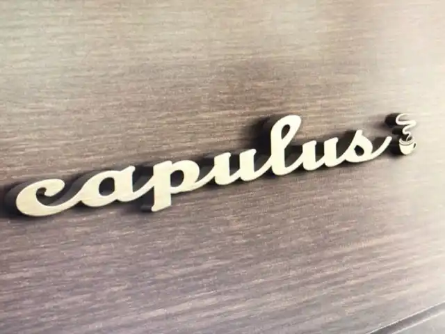 Capulus Cafe & Restaurant'nin yemek ve ambiyans fotoğrafları 10