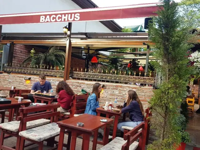 Bacchus'nin yemek ve ambiyans fotoğrafları 2