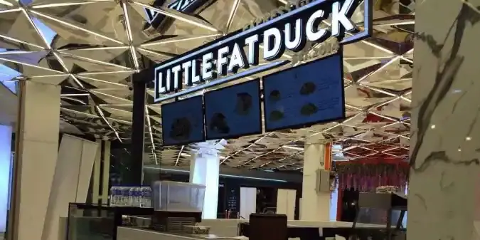 Little Fat Duck
