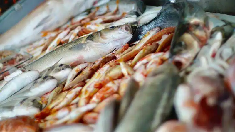 Balıkçı Hasan Port Alaçatı'nin yemek ve ambiyans fotoğrafları 7