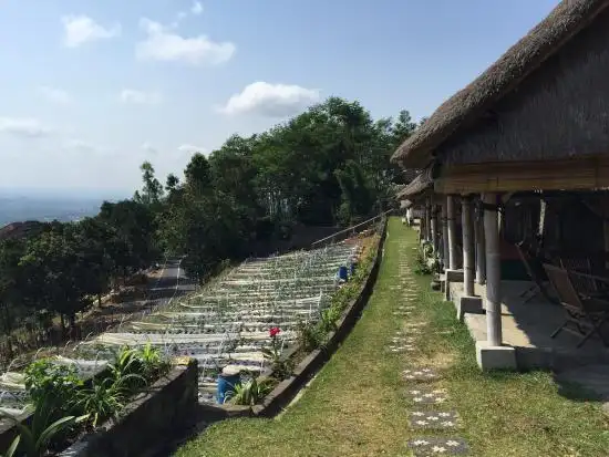 Gambar Makanan Bali Strawberry Farm & Restaurant 7