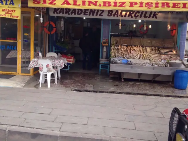 Karadeniz Balıkçılık Balıkçı Pala'nin yemek ve ambiyans fotoğrafları 2