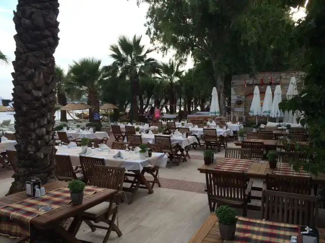 Toloman Restaurant'nin yemek ve ambiyans fotoğrafları 18