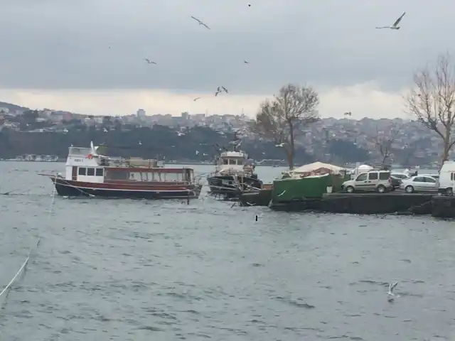 Trivana Balık Restoran'nin yemek ve ambiyans fotoğrafları 19